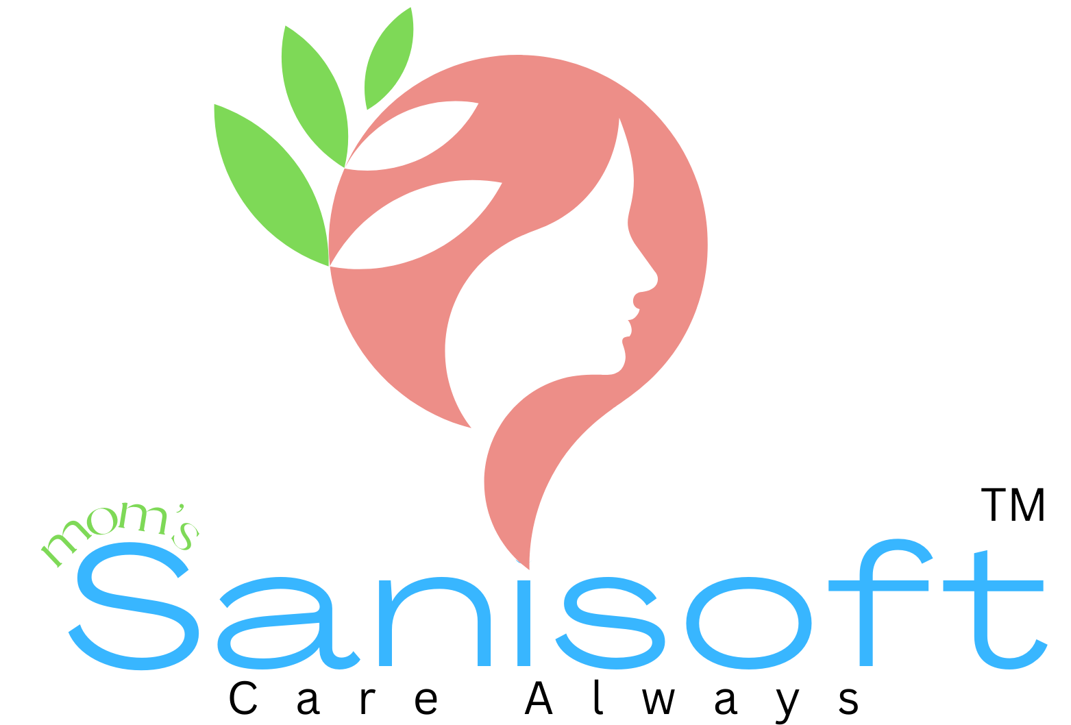 momsanisoft.com